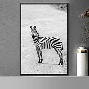 signwin Framed Canvas Wall Art Duotone Zebra Animals...