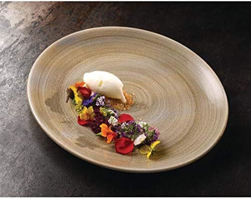 Churchill Stonecast Patina Antique Taupe - Evolve Coupe Dinner Plates, 28.8 cm, Pack of 12