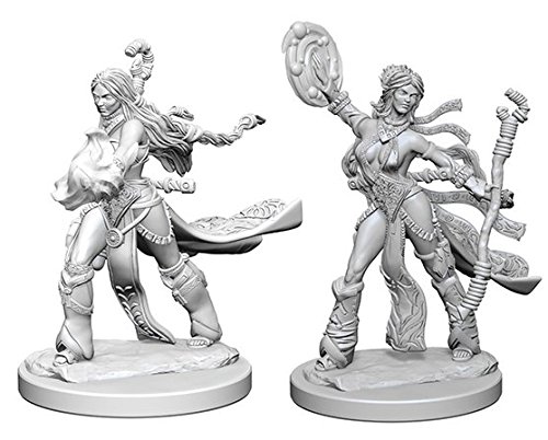 Pathfinder: Deep Cuts Unpainted Miniatures: Human Female Sorcerer