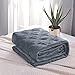 Weighted Blanket Duvet Cover 41x60Inches, JOLLYVOGUE Cozy Soft Removable Minky Dot Cover Machine Washable with Zipper and 8 Ties-Dark Grey