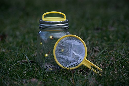 Jarware 82641 Firefly Kit for Regular Mouth Mason Jars, Yellow