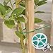 SICCOMA Multi-Purpose 328 feet Garden Twist Ties Plant Twist Ties with Cutter, Twist Ties for Plants Support Garden Office and Home Cable Organizing (328 Feet/ 100m, Green, Set of 1)thumb 1