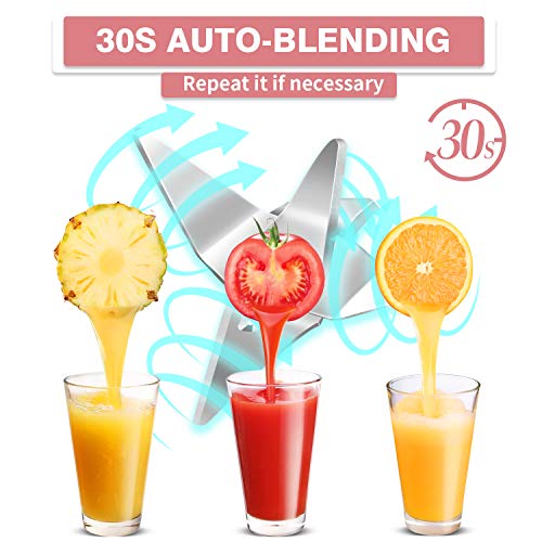 Small Personal Blender for Shakes and Smoothies on the go Single Serve