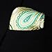 HISDERN Men's Paisley Wedding Party Pocket Square Handkerchief