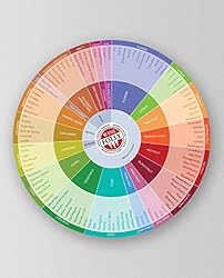Wine Folly - Wine Flavors Circle Chart