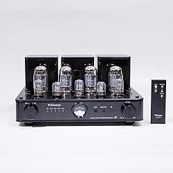 Willsenton R8 KT88/EL34 x4 Tube Amplifier
