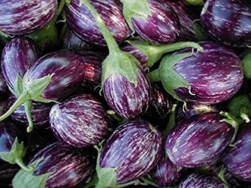 Splendour Seeds ® Brinjal Hybrid Vegetable Seeds(100 Seeds)