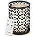 Odoga Aromatherapy Essential Oil Diffuser with Decorative Iron Cover, 100 ml Ultrasonic Quiet Cool Mist Humidifier with Warm White Color Candle Light Effect, Remote Control & Low Water Auto Shut-Off