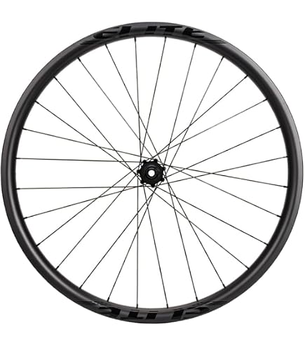 Amazon.com: Shimano Xt Wh-M8120 29In Boost Wheel Set, 15X110