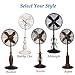 DecoBREEZE Pedestal Standing Fan, 3 Speed Oscillating Fan with Adjustable Height, Coppertino, Antique Fan, 18 inches