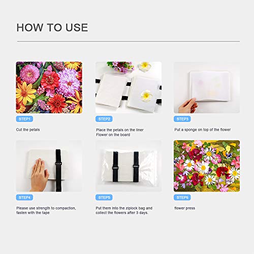 6 Auihiay+Flower+Handcraft+Outdoor+Learning