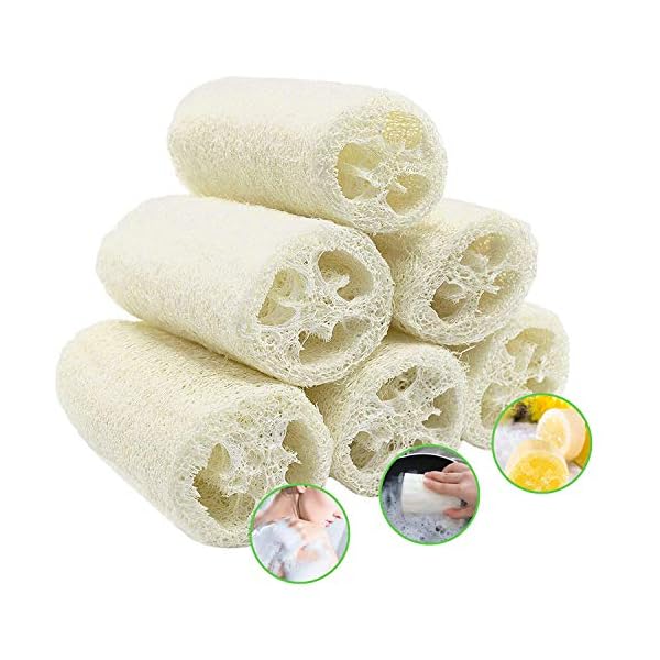 6-PCS-Natural-Loofah-Exfoliating-Luffa-Natural-Loofah-Sponge-Body-Scrubber-for-Bathing-and-Back-Caring-Spa-4-inch-Length-Organic-Loofah-Loofahs-Sponges-for-Shower-Scrubbing-and-Kitchen-Cleaning 6 Pcs Natural Loofah, Exfoliating Luffa Natural Loofah Sponge Body Scrubber For Bathing And Back Caring Spa, 4 Inch…