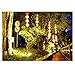 GLW 50W LED Flood Light 12v-60v Landscape Lights Outdoor Waterprrof IP65 Warm White Outdoor Spotlight with Spike Stand