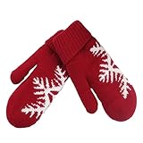 R REIFENG Lady Girl Winter Warm Christmas Gloves Mittens
