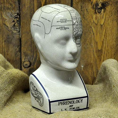 Extra Large Phrenology Head - 12" Ceramic - Brand New
