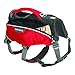 RUFFWEAR - Web Master Pro Dog Harness, Search and Rescue, Service Dogs, Snowboarding, Skiing, Everyday Wear, Red Currant, X-Small