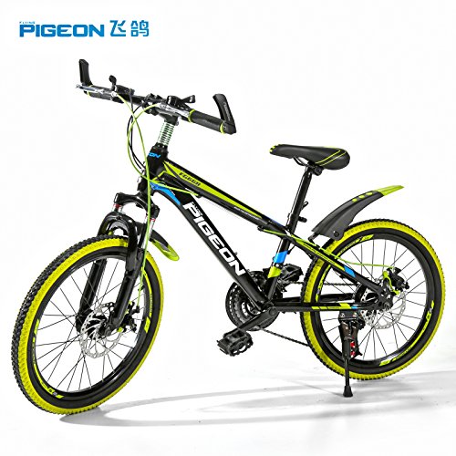 flying 21 speeds mountain bike