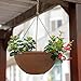 Hanging Flower Pots for Outdoor Plants, Garden Hanging Planters Set of 2(13.2 Inch, Terracotta Color)