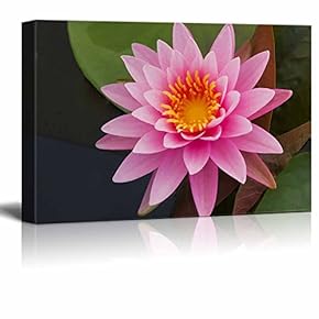 Canvas Prints Wall Art - Beautiful Scenery/Landscape Pink Lotus in Pond | Modern Wall Decor/Home Decoration Stretched Gallery Canvas Wrap Giclee Print & Ready to Hang - 12" x 18"