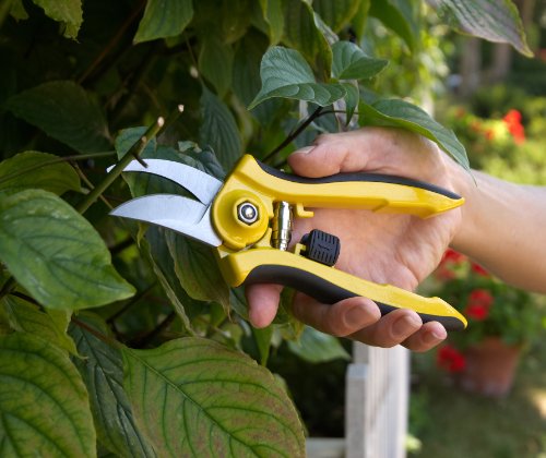 Dramm 18042 ColorPoint Bypass Pruner with Stainless Steel Blade, Orange