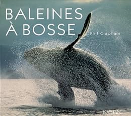 Baleines à bosse