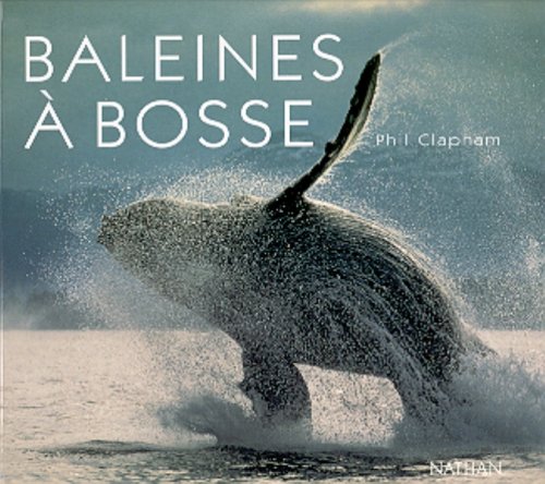 Baleines à bosse