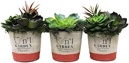 Realistic Artificial Succulent Plants Potted in Round Rustic Pots - Set of 3