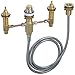 hansgrohe 06646000 4-Hole Rough Tub Filler,Brass, 0.5