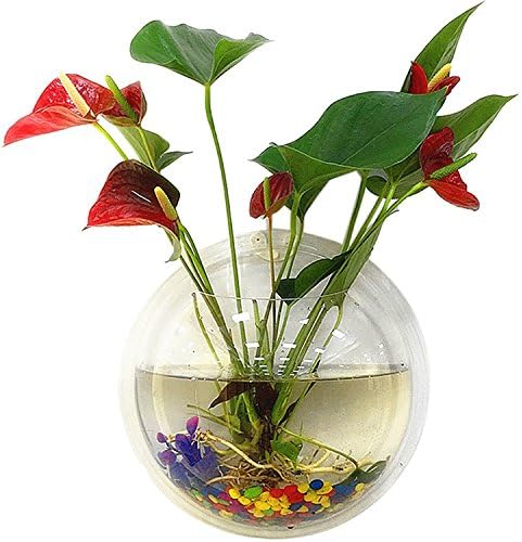Harulu 32.5CM Wall Fish Tank Hanging Clear Acrylic Fish Bubble Flower Plant Pot Aquarium