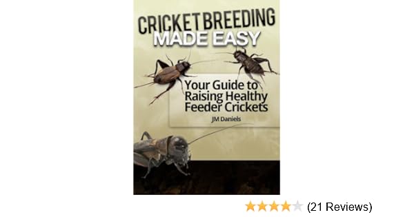 Cricket Breeding Made Easy Your Guide To Raising Healthy Feeder