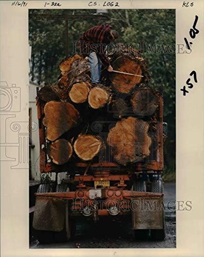 Historic Images - 1991 Press Photo Bill Archer a Scaler Employed by Yamhill Log Scaling and Gradin