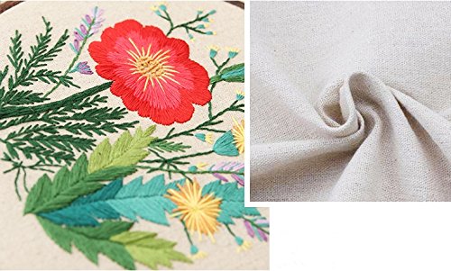 Cross Stitch Stamped Embroidery Kit - Eafior DIY Beginner Counted Starter Cross Stitch Kit for Art Craft Handy Sewing Including Color Pattern Embroidery Cloth,Embroidery Hoop,Color Threads,Tools Kit
