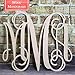 Unfinished Wood Letters Cutout DIY Decor Nursery - (Vines 3-Letter) Back40Life