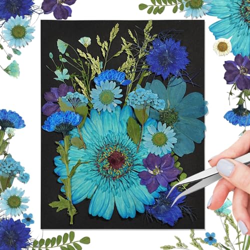CONVELIFE Blue Dried Flowers, Natural Pressed Dried Flowers and Leaves, Dried Flowers for Resin with Tweezers for Scrapbooking DIY Art Crafts, Epoxy Jewelry, Candle, Soap Mak