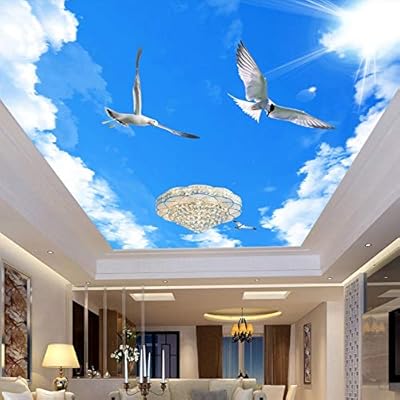 Custom Any Size 3d Stereo Blue Sky White Clouds Ceiling Murals