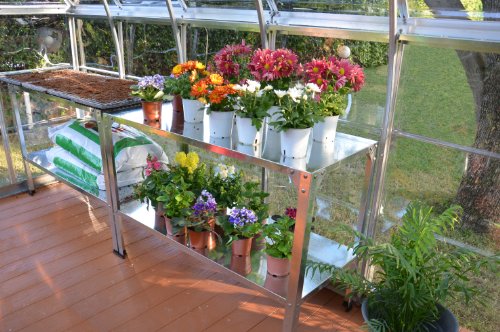 Palram HobbyGrower Galvanized 2-Level Shelving System