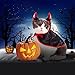 Legendog Cat Costume Halloween Pet Costumes Red Velvet Pet Cape with Hat Pet Apparel for Small Dogs and Cats (Cape & Horn & Hat) (Halloween Cape)