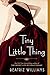 Tiny Little Thing (The Schuler Sisters Novels) primary