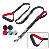 tobeDRI Heavy Duty Dog Leash - 2 Padded Handles, 6 feet Long - Dog Training Walking Leashes Medium Large Dogs (Black)