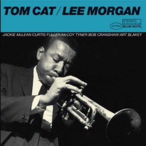 Tom Cat