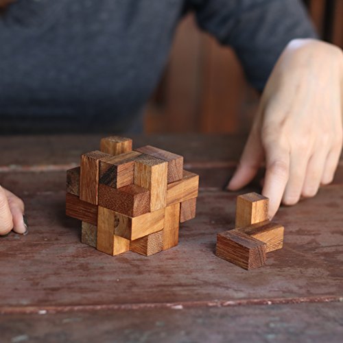 Labyrinth: IQ Building Educational 3D Wood Puzzle & Handmade Traditional Wood Brainteaser for Adults & Improve Creative Thinking from with SM Gift Box(Pictured)