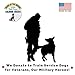 Premium Salmon Dog Treats Made in USA Only - One Ingredient: Wild Caught American Salmon - Freeze Dried, Human Grade - No Additives or Preservatives - Grain Free - Purr-fect Healthy Cat Snack too