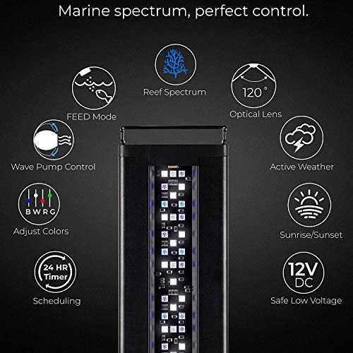 Current USA Orbit Marine LED Reef Aquarium Light Wireless Light and