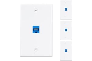 Iwillink 4-Pack Blue Ethernet Wall Plate, Cat6 Keystone Jack, RJ45, 2.76" W x 4.5" H