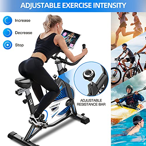 LABGREY Stationary Bike Exercise Bike Indoor Cycling Bike, Cycle Bike with Heart Rate Sensor & Comfortable Seat Cushion, Quiet Fitness Bike for Home Cardio Workout