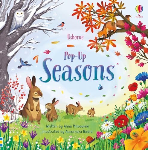 Pop-Up Garden: Watt, Fiona: 9781409590347: Amazon.com: Books
