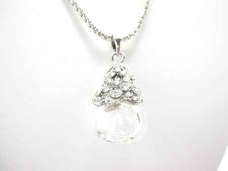 Amazon アロマペンダント 女性用 可愛いガラス瓶 シルバー お試しdoterra社アロマオイル スポイト付属 お得なセット商品 Bikenyu アロマディフューザー アロマバーナー