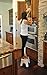 Ultra-Fab Products 56-978003 Step Stool Folding, 1 Pack
