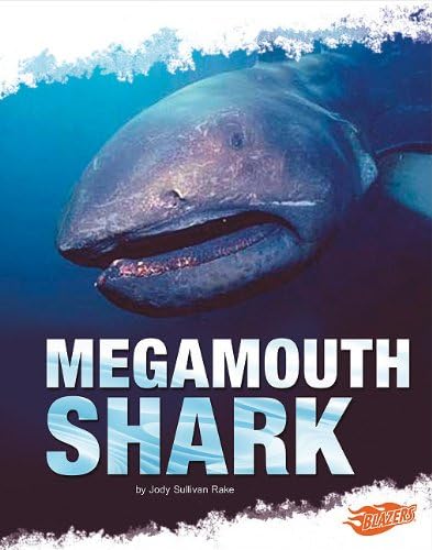 Megamouth Shark (Shark Zone)