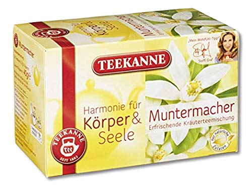 Teekanne Harmonie für Körper & Seele Bio Frisch & Munter, 10er Pack (18 x 10)